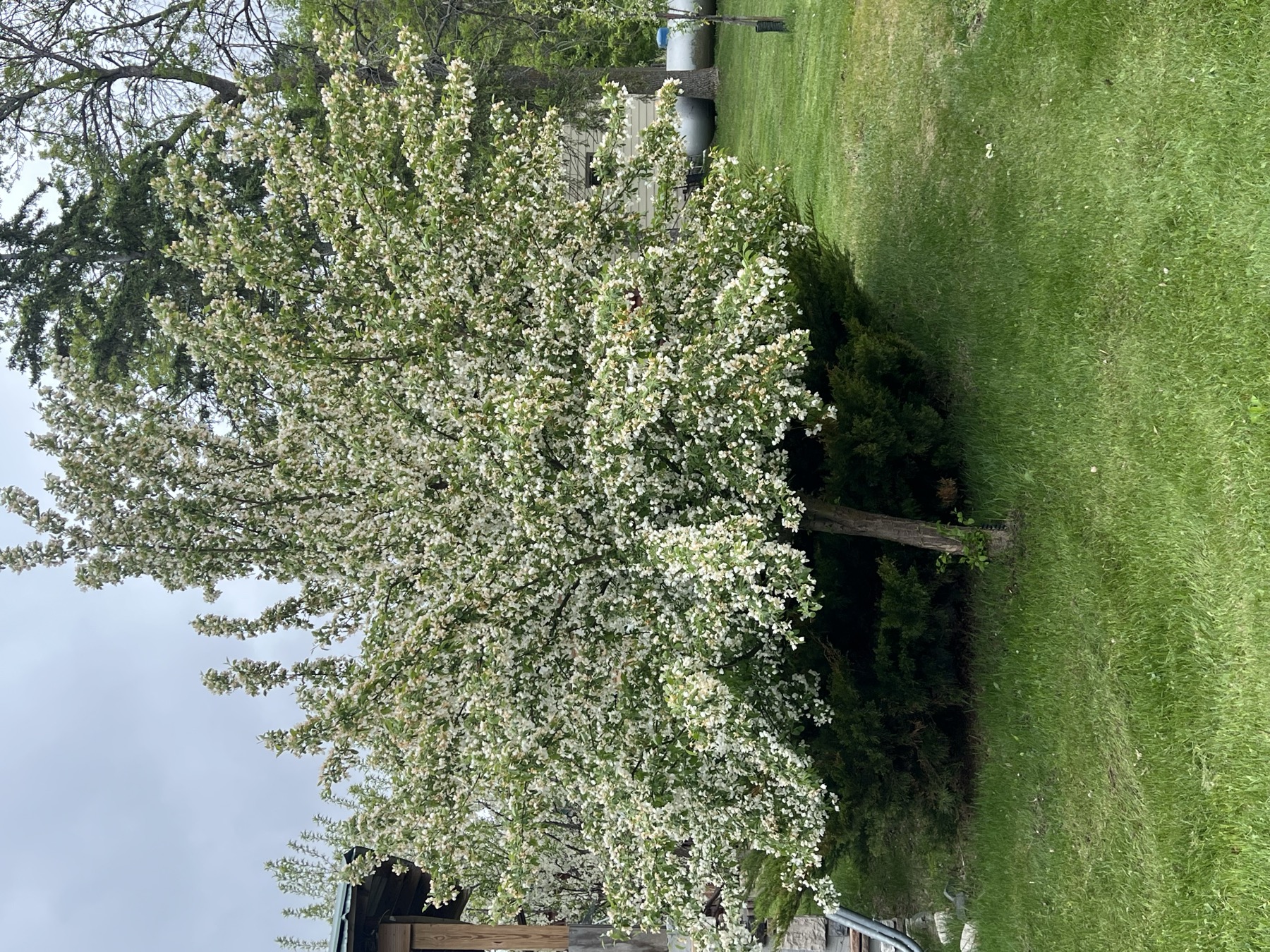 Wilderness Beach Resort resort grounds and RV area view 5